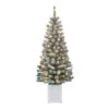 2 Pack 5ft. Pre-Lit Western Spruce Artificial Christmas Tree In Pot, Clear Incandescent Lights 2 2 Pack 5ft. Pre-Lit Western Spruce Artificial Christmas Tree In Pot, Clear Incandescent Lights -Northlight Shop D659687S 1