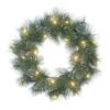 24" Pre-Lit LED Glittery Wreath -Northlight Shop D659729S 1