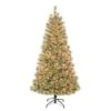 6ft. Pre-Lit Arcadia Cashmere Pine Artificial Christmas Tree, Clear Lights 2 6ft. Pre-Lit Arcadia Cashmere Pine Artificial Christmas Tree, Clear Lights -Northlight Shop D671906S 1
