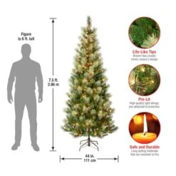 7.5ft. Pre-Lit Charleston Pine Slim Artificial Christmas Tree, Clear Lights -Northlight Shop D671910S 14