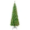 7.5ft. Pre-Lit Rowan Pencil Slim Artificial Christmas Tree, Multicolor Lights -Northlight Shop D671922S 1
