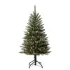 4ft. Pre-Lit Dumont Fir Artificial Christmas Tree, Warm White LED Lights