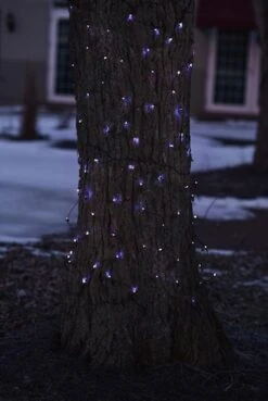 Northlight Pre-Lit Blue LED Christmas Lights Net-Style Tree Trunk Wrap -Northlight Shop D676268S 2