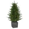 Northlight 6ft. Pre-Lit Deluxe Russian Pine Artificial Christmas Tree In Planter, Warm White LED Lights