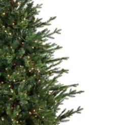Northlight 6ft. Pre-Lit Deluxe Russian Pine Artificial Christmas Tree In Planter, Warm White LED Lights 11 Northlight 6ft. Pre-Lit Deluxe Russian Pine Artificial Christmas Tree In Planter, Warm White LED Lights -Northlight Shop D676650S 2
