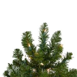 Northlight 2ft. Pre-Lit Canadian Pine Artificial Christmas Tree, Clear Lights 25 Northlight 2ft. Pre-Lit Canadian Pine Artificial Christmas Tree, Clear Lights -Northlight Shop D676654S 14