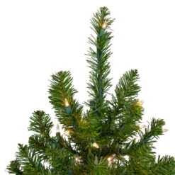 Northlight 5ft. Pre-Lit Canadian Pine Artificial Christmas Tree, Clear Lights -Northlight Shop D676658S 3