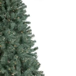 Northlight 7.5ft. Pre-Lit Colorado Blue Spruce Artificial Christmas Tree, Clear Lights -Northlight Shop D676661S 2