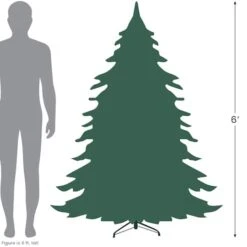 Northlight 6ft. Unlit Medium Mixed Classic Pine Artificial Christmas Tree 25 Northlight 6ft. Unlit Medium Mixed Classic Pine Artificial Christmas Tree -Northlight Shop D676696S 16