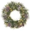 24'' LED Whitter Pine Wreath -Northlight Shop D677537S 1