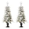 2 Pack 5ft. Pre-Lit Flocked Fir Artificial Christmas Porch Tree In Planter, Warm White Lights 2 2 Pack 5ft. Pre-Lit Flocked Fir Artificial Christmas Porch Tree In Planter, Warm White Lights -Northlight Shop D726259S 1