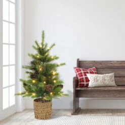 3.5ft. Pre-Lit Potted Artificial Tree, Clear Lights 13 3.5ft. Pre-Lit Potted Artificial Tree, Clear Lights -Northlight Shop D734289S 3