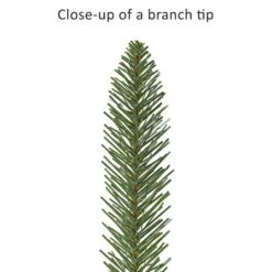 3ft. Pre-Lit Artificial Fraser Fir Tree, Multicolor Lights 16 3ft. Pre-Lit Artificial Fraser Fir Tree, Multicolor Lights -Northlight Shop D734352S 6