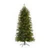 7ft. Unlit Belgium Fir Natural-Look Artificial Christmas Tree 2 7ft. Unlit Belgium Fir Natural-Look Artificial Christmas Tree -Northlight Shop D739570S 1