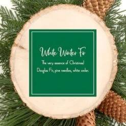 Scentsicles White Winter Fir Scented Paper Stick Ornaments, 12ct. -Northlight Shop D739710S 4