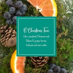 Scentsicles O Christmas Tree Scented Paper Stick Ornaments, 12ct. -Northlight Shop D739712S 4