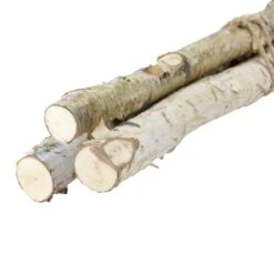 Northlight Brown Birch Wood Branch Bundle, 3ct. 8 Northlight Brown Birch Wood Branch Bundle, 3ct. -Northlight Shop D755967S 2