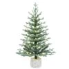3ft. Pre-Lit Blue Arctic Fir Artificial Potted Christmas Tree, Warm White LED Lights 1 3ft. Pre-Lit Blue Arctic Fir Artificial Potted Christmas Tree, Warm White LED Lights -Northlight Shop D799555S 1