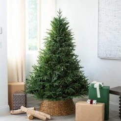 6ft. Pre-Lit Edmonton Fir Artificial Christmas Tree, Color Changing LED Lights 30 6ft. Pre-Lit Edmonton Fir Artificial Christmas Tree, Color Changing LED Lights -Northlight Shop D804718S 12