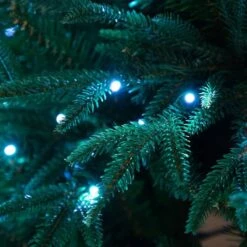 6ft. Pre-Lit Edmonton Fir Artificial Christmas Tree, Color Changing LED Lights 26 6ft. Pre-Lit Edmonton Fir Artificial Christmas Tree, Color Changing LED Lights -Northlight Shop D804718S 8