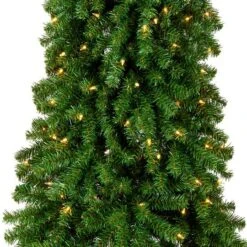 6.5ft. Pre-Lit Grand Alpine Slim Artificial Christmas Tree, Clear Lights 10 6.5ft. Pre-Lit Grand Alpine Slim Artificial Christmas Tree, Clear Lights -Northlight Shop D806222S 3