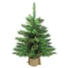 Northlight 3ft. Pre-Lit New Carolina Spruce Artificial Potted Christmas Tree, Clear Lights 2 Northlight 3ft. Pre-Lit New Carolina Spruce Artificial Potted Christmas Tree, Clear Lights -Northlight Shop D810200S 1