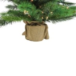 Northlight 3ft. Pre-Lit New Carolina Spruce Artificial Potted Christmas Tree, Clear Lights -Northlight Shop D810200S 4