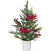 Northlight 2ft. Pre-Lit Potted Mixed Pine, Berry & Cardinals Christmas Tree, Warm White LED Lights 1 Northlight 2ft. Pre-Lit Potted Mixed Pine, Berry & Cardinals Christmas Tree, Warm White LED Lights -Northlight Shop D810209S 1