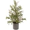 Northlight 2ft. Unlit Potted White Berry & Frosted Pine Christmas Tree 2 Northlight 2ft. Unlit Potted White Berry & Frosted Pine Christmas Tree -Northlight Shop D810210S 1