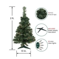 Northlight 2ft. Pre-Lit Blackwater Fir Artificial Christmas Tree, Clear Lights -Northlight Shop D810219S 2