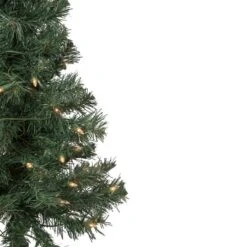 Northlight 2ft. Pre-Lit Blackwater Fir Artificial Christmas Tree, Clear Lights -Northlight Shop D810219S 3