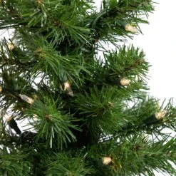 Northlight 18" Pre-Lit Blackwater Fir Artificial Christmas Tree, Clear Lights -Northlight Shop D810221S 4