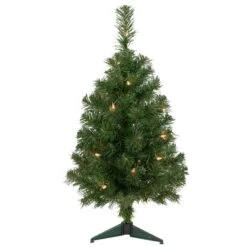 Northlight 2ft. Pre-Lit Oakridge Noble Fir Artificial Christmas Tree, Clear Lights
