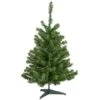 Northlight 3ft. Pre-Lit Canadian Pine Medium Artificial Christmas Tree, Multicolor Lights 1 Northlight 3ft. Pre-Lit Canadian Pine Medium Artificial Christmas Tree, Multicolor Lights -Northlight Shop D810254S 1
