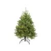 Northlight 4ft. Pre-Lit Northern Pine Full Artificial Christmas Tree, Warm White LED Lights -Northlight Shop D810264S 1