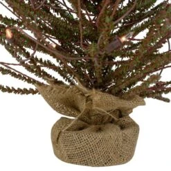 Northlight 2ft. Pre-Lit Medium Warsaw Twig Artificial Christmas Tree In Burlap Base, Clear Lights 14 Northlight 2ft. Pre-Lit Medium Warsaw Twig Artificial Christmas Tree In Burlap Base, Clear Lights -Northlight Shop D810490S 5