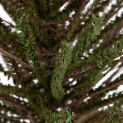 Northlight 2ft. Unlit Green & Brown Warsaw Twig Artificial Christmas Tree With Burlap Base 10 Northlight 2ft. Unlit Green & Brown Warsaw Twig Artificial Christmas Tree With Burlap Base -Northlight Shop D810494S 3