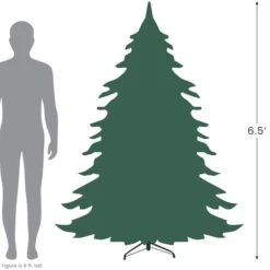 Northlight 6.5ft. Pre-Lit Real Touch™️ Palisades Fir Artificial Christmas Tree, Clear Lights 15 Northlight 6.5ft. Pre-Lit Real Touch™️ Palisades Fir Artificial Christmas Tree, Clear Lights -Northlight Shop D810520S 6