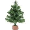 Northlight 12" Unlit Mini Pine Full Artificial Christmas Tree -Northlight Shop D810539S 1