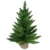 Northlight 24" Unlit Mini Balsam Pine Artificial Christmas Tree In Burlap Base 2 Northlight 24" Unlit Mini Balsam Pine Artificial Christmas Tree In Burlap Base -Northlight Shop D810541S 1