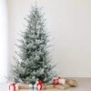 Northlight 6.5ft. Unlit Real Touch™️ Flocked Little River Fir Artificial Christmas Tree 1 Northlight 6.5ft. Unlit Real Touch™️ Flocked Little River Fir Artificial Christmas Tree -Northlight Shop D810603S 1