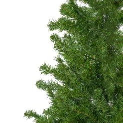 Northlight 7.5ft. Unlit Canadian Pine Artificial Christmas Tree 9 Northlight 7.5ft. Unlit Canadian Pine Artificial Christmas Tree -Northlight Shop D810620S 2