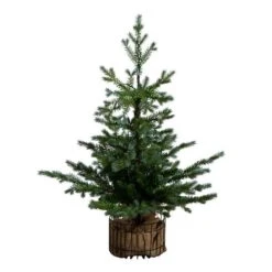 3ft. Pre-Lit Artificial Christmas Tree In Jute Wire Planter With 30 Warm White LED Lights 16 3ft. Pre-Lit Artificial Christmas Tree In Jute Wire Planter With 30 Warm White LED Lights -Northlight Shop D855830S 3