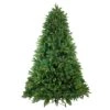 Northlight 9ft. Pre-Lit Real Touch™ Full Gunnison Pine Artificial Christmas Tree, Warm White LED Lights